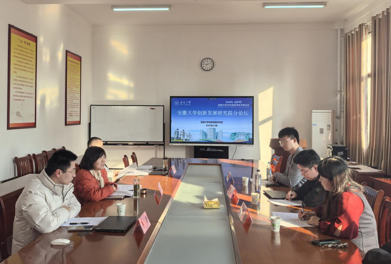 我院举办2025年国际青年学者分论坛